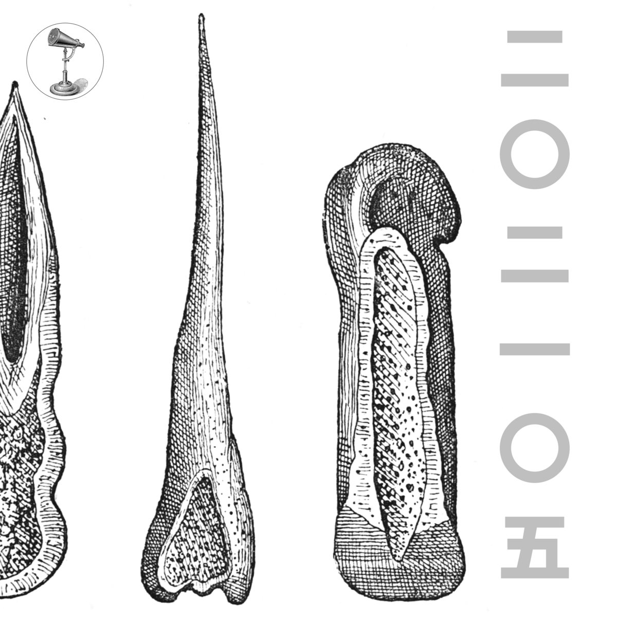202105, by TOKINOGAKE