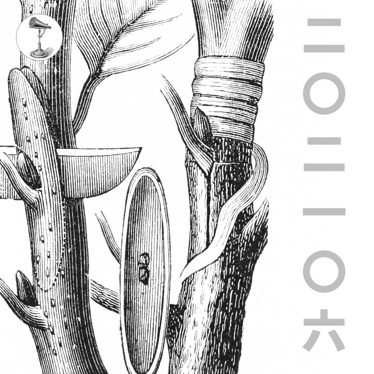 202106, by TOKINOGAKE