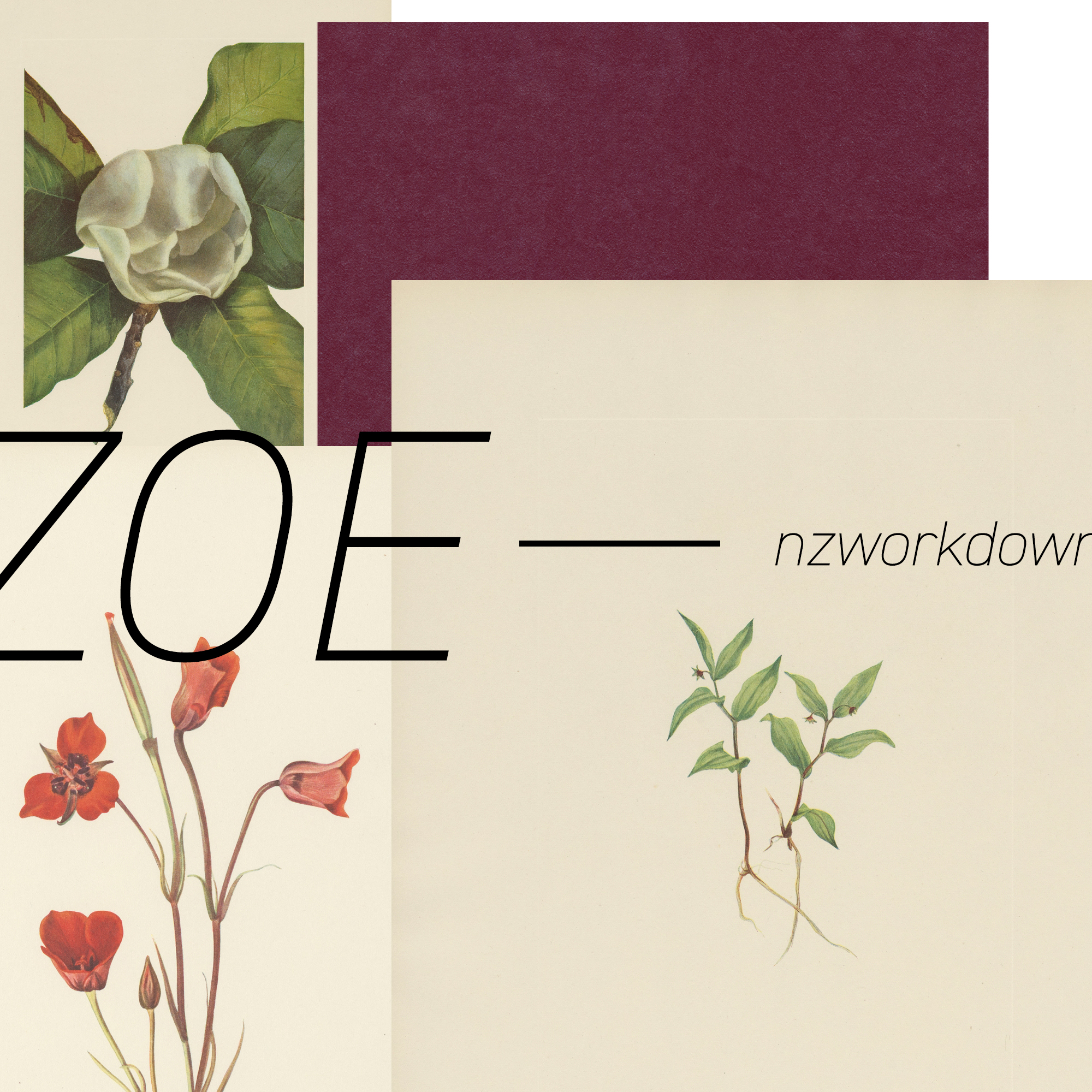 Zoe, by nzworkdown